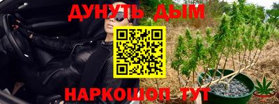 spice Абакан