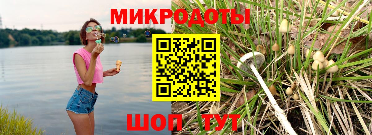 Псилоцибиновые грибы Psilocybe Алейск