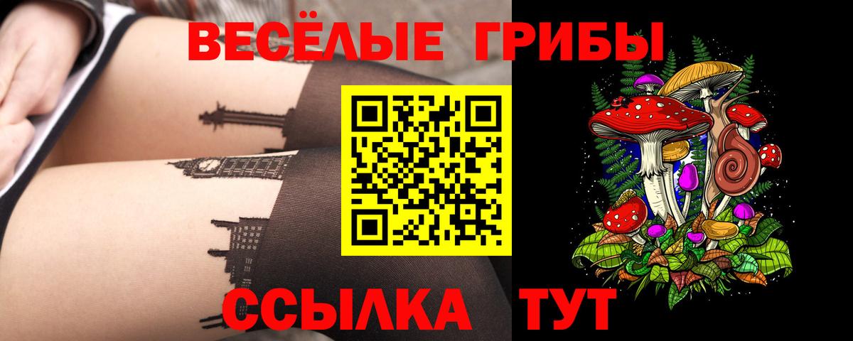 Алейск  Галлюциногенные грибы ЛСД  Вход с VPN 